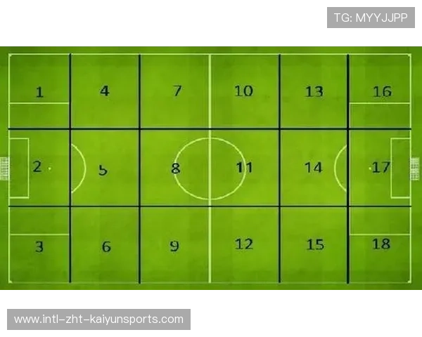 足球场地使用是否存在地区不均现象，足球场地区域如何划分